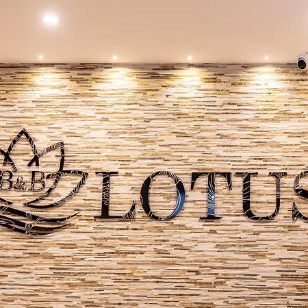 Lotus 4*